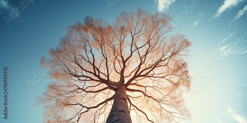 Extremely detailed nature macro closeup photo