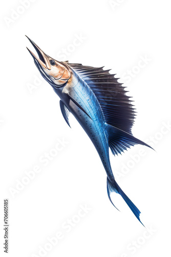 Atlantic sailfish in the air and showing off its iconic jumping pose against a clear background