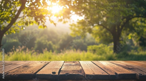 Sunlit Wooden Table Surrounded by Trees in Natural Setting