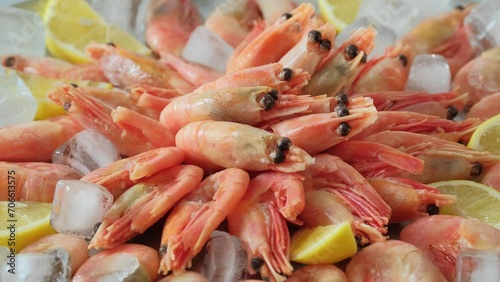 Wallpaper Mural Shrimps. Fresh raw prawns background rotating. Seafood background slow motion closeup Torontodigital.ca