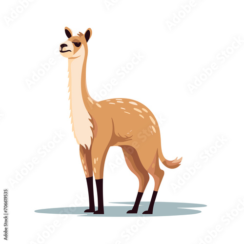 vicuna wold animal cartoon vector