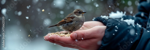A small bird sits on a man's hands, which also contain birdseed photo