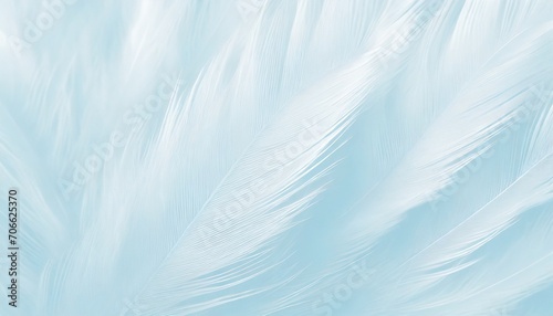 beautiful white baby blue colors pastel tone feather pattern texture cool background for decorative design wallpaper and other photo