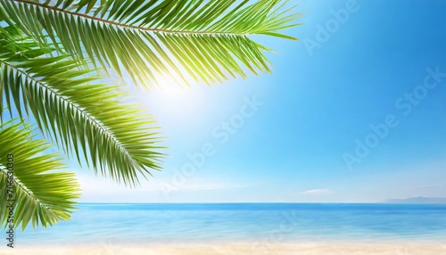 palm tree leaves blue sky background frame green palm branch corner border tropical island sea beach banner summer holidays template vacation design travel pattern tourism backdrop copy space © Irene