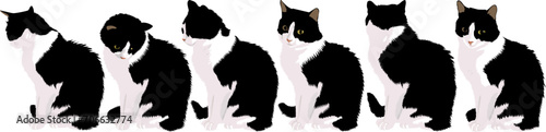 Collection of domestic cats in different poses. Pets. Vector illustration.