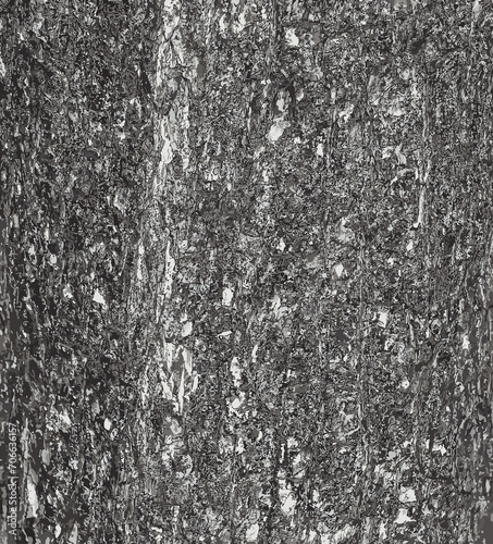 Illustration of Turkish hazel bark texture or Corylus colurna. Natural leather nature background. photo