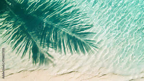 palm tree on the beach background © VetalStock