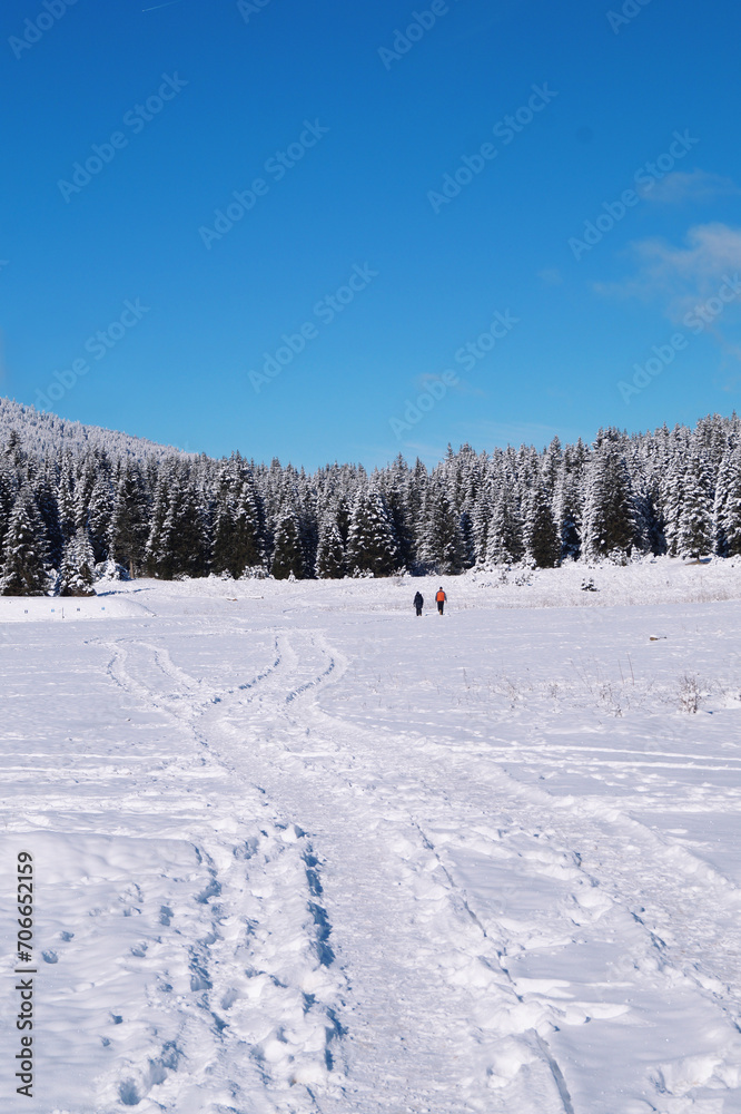 A relaxing vacation and a walk on a snowy mountain A relaxing vacation and a walk on a snowy mountain