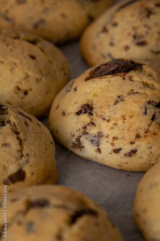 Kyiv, Ukraine - January 10, 2024 freshly baked cookies at home. Delicious cookies called Kyiv, Ukraine - January 10, 2024 freshly baked cookies at home. Delicious cookies called