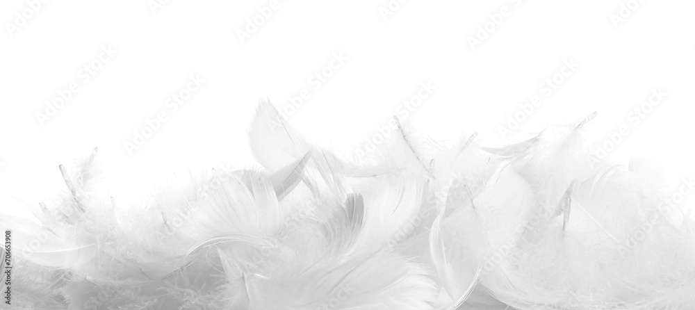 Beautiful fluffy bird feathers isolated on white Beautiful fluffy bird feathers isolated on white