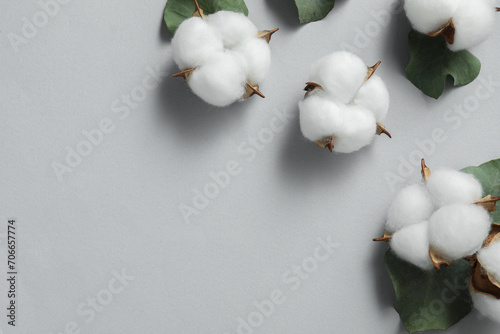 Cotton flowers and eucalyptus leaves on light grey background, flat lay. Space for text