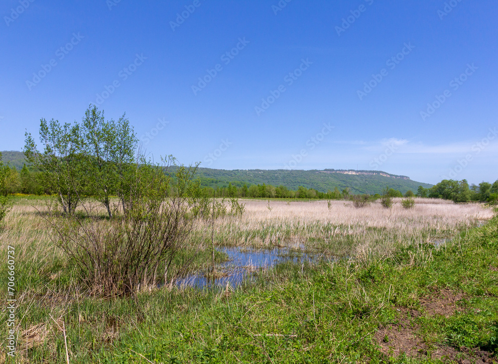 Spring walks in a mountain valley on a sunny morning along a path leading to an unexplored forest. Spring walks in a mountain valley on a sunny morning along a path leading to an unexplored forest.