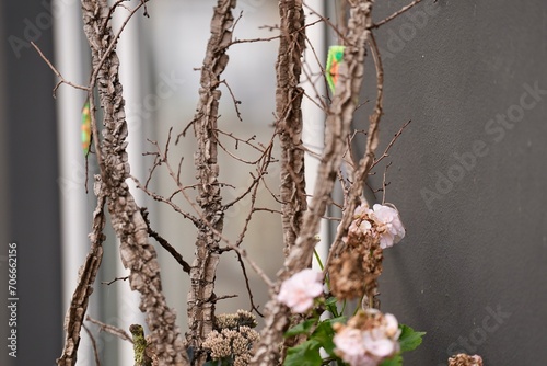 There is a large pot with a decorative tree near the cafe on the street of the old town. View in perspective