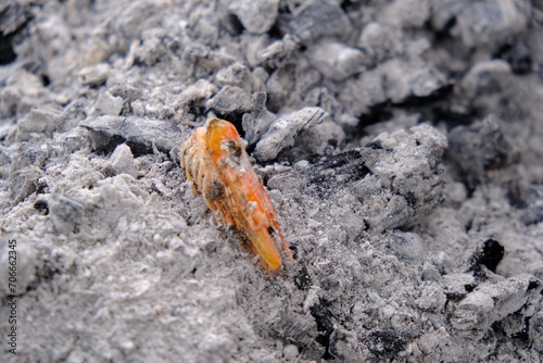 Shrimp frying on grill , Close up of a barbecue with charcoal embers 