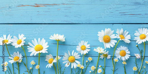 Delicate Daisies with Yellow Centers Arranged on Turquoise Planks © romanets_v