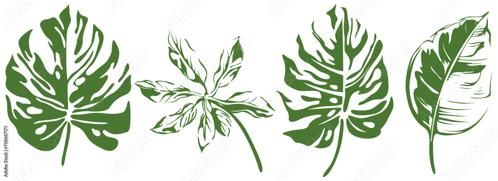 Abstract set of tropical leaves isolated on white background. Hand drawn illustration collection. Abstract set of tropical leaves isolated on white background. Hand drawn illustration collection.