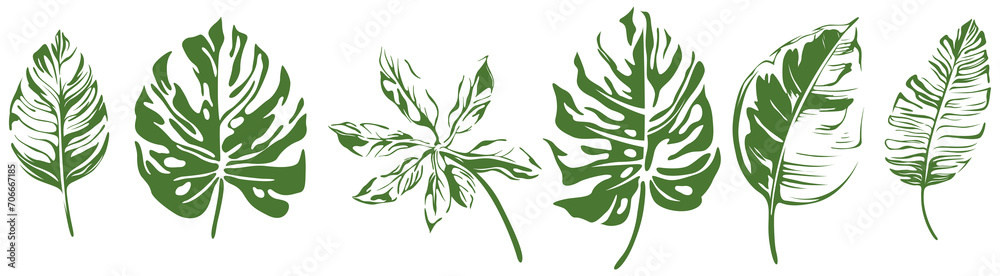 Abstract set of tropical leaves isolated on white background. Hand drawn illustration collection. - obrazy, fototapety, plakaty 
