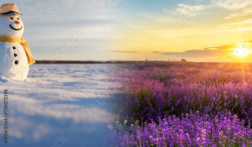 Fototapeta Naklejka Na Ścianę i Meble -  Climate change from winter to summer time over the year. Nature weather visual with a single tree on a hill. Cold snow has a transition to a warm meadow. Icy branches have a transition to juicy leaves