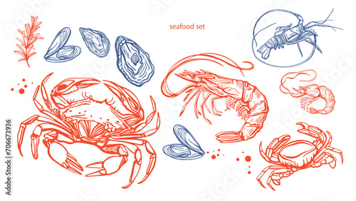 	
Hand drawn isolated vector set of shrimps and oysters. Shrimps and langoustines on a white background. Prawns. Seafood, food vintage illustration  photo