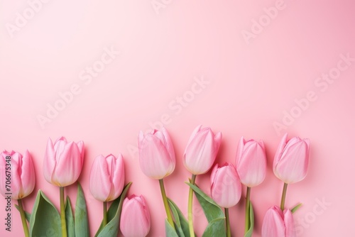 Spring tulip flowers on pink background top view in flat lay style