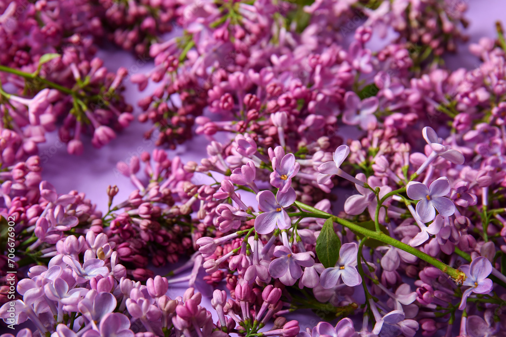 Fototapeta premium Blooming lilac flowers as background