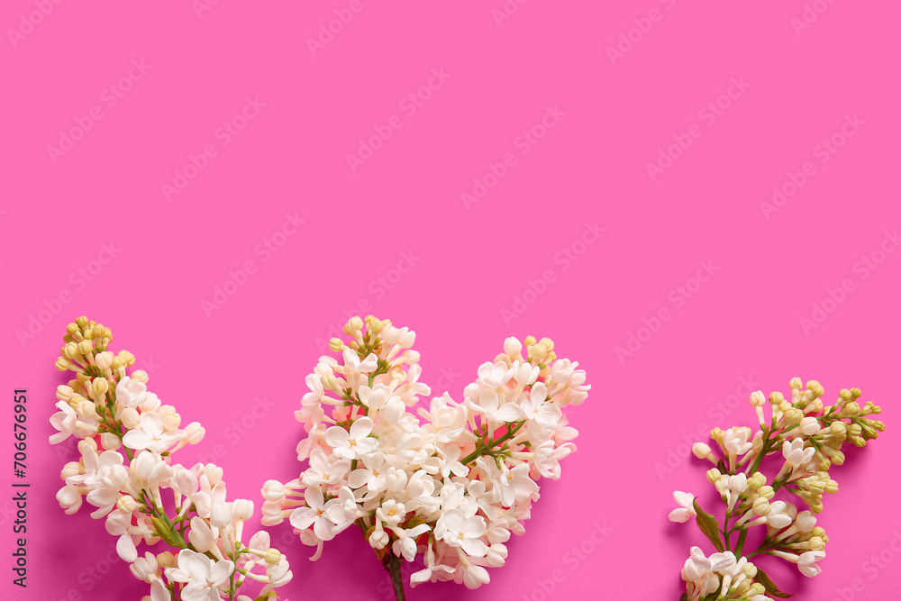 Obraz premium Blooming lilac flowers on pink background