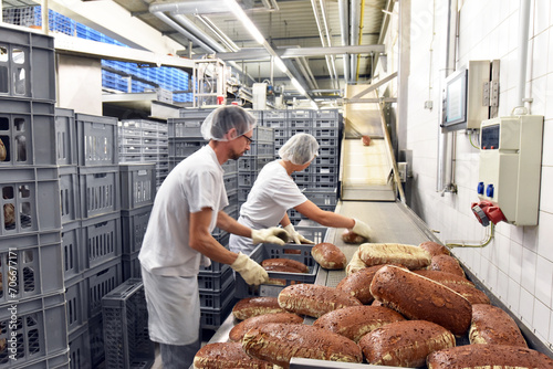 Worker in a large bakery - industrial production of bakery products on an assembly line
