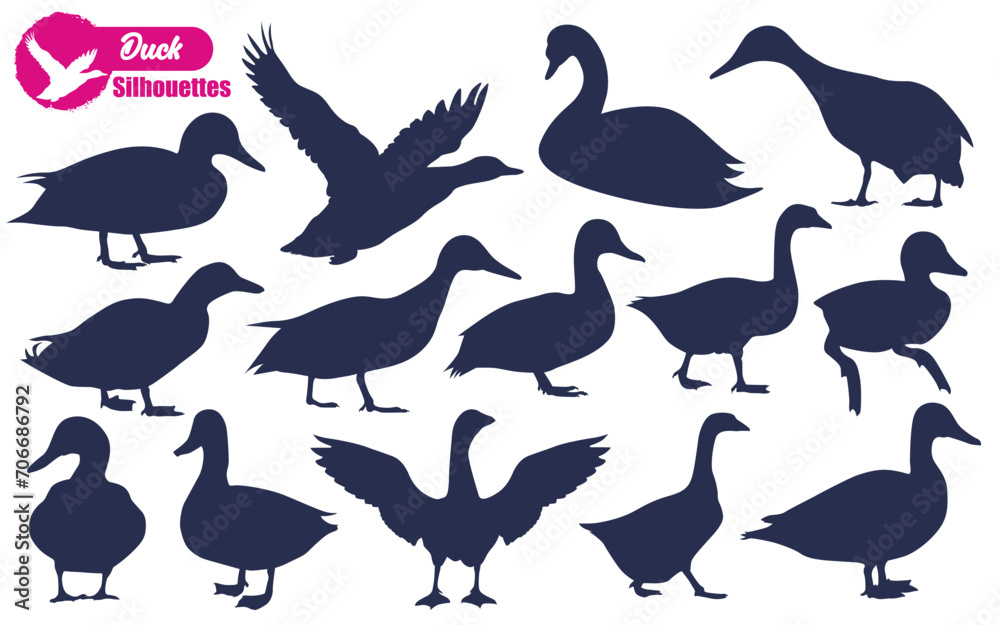 Obraz premium Duck Silhouettes vector illustration