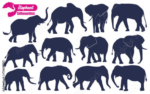 Animal Elephant Silhouettes vector illustration