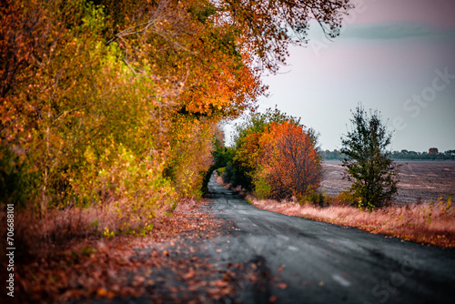 Dream road in the autumn colors . Raod over the forest. Red and yellow colors . Sunset over the road. Hole on the middle part of the road 