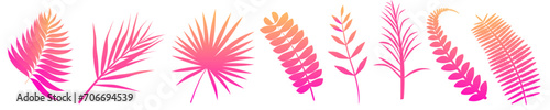 Set of vector illustration of tropical fern leaves pink gradient. Exotic art design. Natural decorative element isolated.