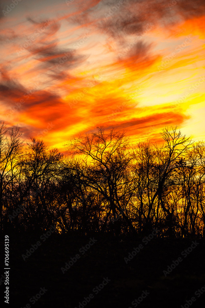 Sunset over the field . Golden sun in the woods . Green field . Red amd orange sky . Autumn landscape Sunset over the field . Golden sun in the woods . Green field . Red amd orange sky . Autumn landscape