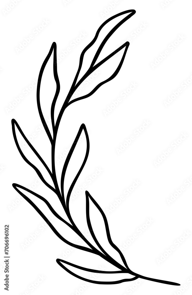 Leaf Line Art