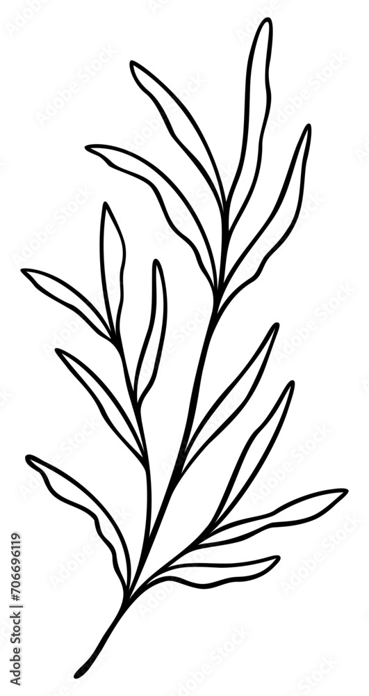 Leaf Line Art