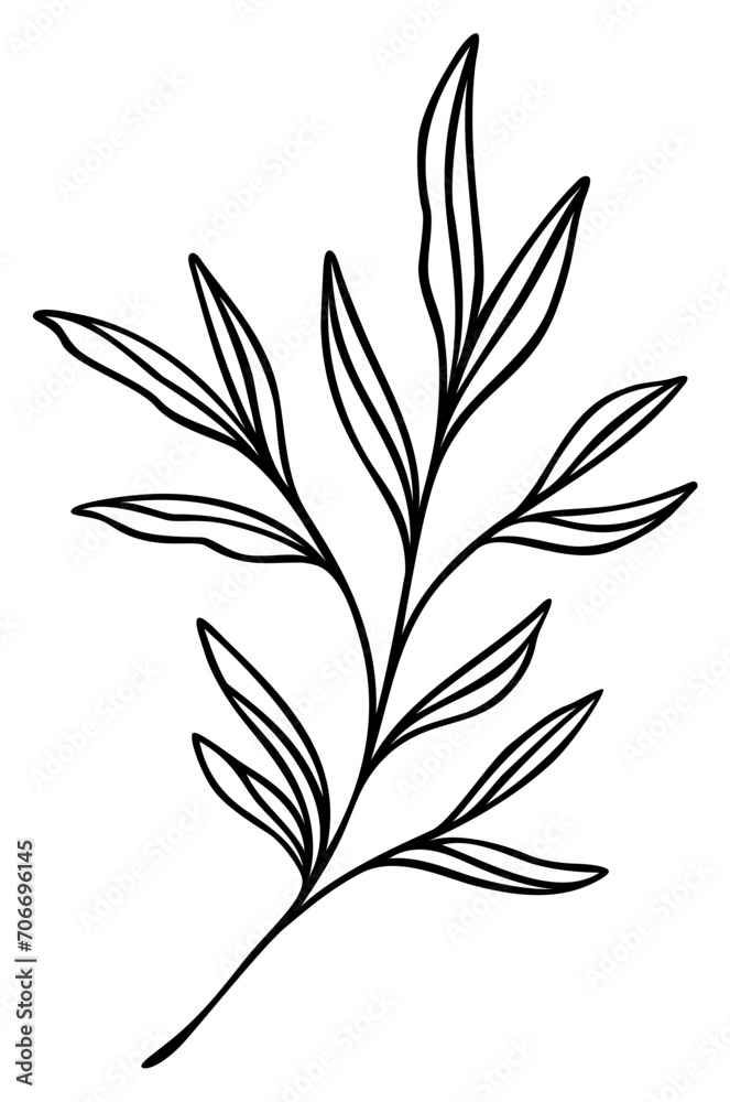 Leaf Line Art