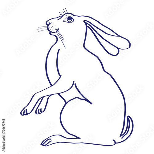 Hand drawn  Vector sketch. illustrahion hare