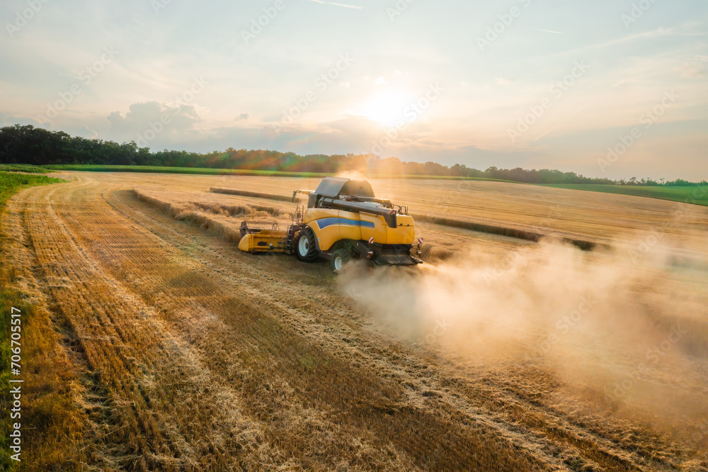 Combine reaper with dust cloud gathers rye in agricultural field aerial view. Farm machinery harvests ripe plants for food product manufacturing at sunset Combine reaper with dust cloud gathers rye in agricultural field aerial view. Farm machinery harvests ripe plants for food product manufacturing at sunset