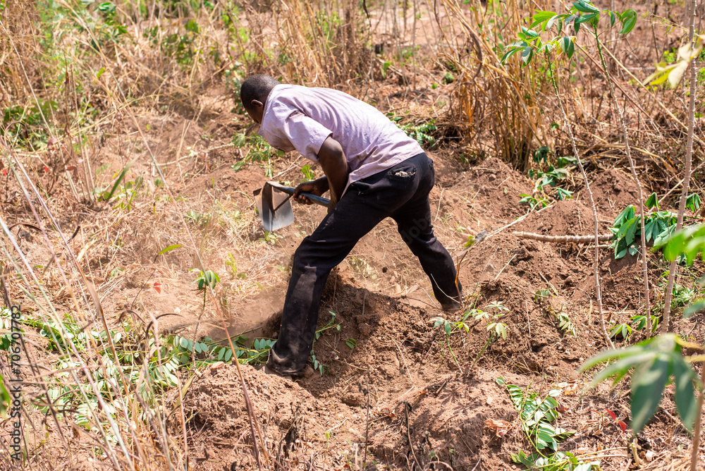 A man makes ridges on a farm in Oyo, Nigeria on January 10, 2024. Dry season in Nigeria A man makes ridges on a farm in Oyo, Nigeria on January 10, 2024. Dry season in Nigeria