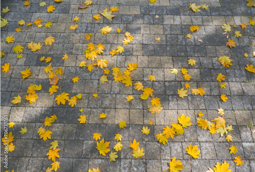 Brick background. Gray brick paving stones on the sidewalk with autumn leaves. Top view. Close-up, selective focus, copy space