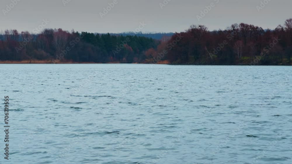 Waterscape with dark wooded waterfront at backdrop. Dull weather on late autumn daytime on river. Waterscape with dark wooded waterfront at backdrop. Dull weather on late autumn daytime on river.