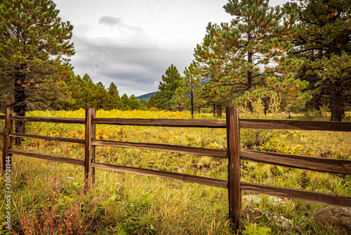 Fenced in fall colors of the ponderosa. 