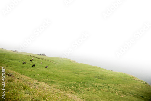 Faroese landscape under the fog photo