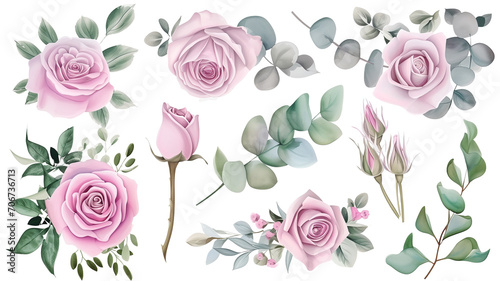 Watercolor elements pink roses  flowers  leaves  eucalyptus  branches set  isolated on transparent background