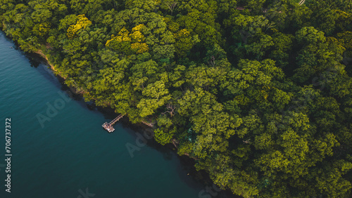 aerial view of a lone jetty or platform in Parana River or Rio Parana with forest surrounding it - Panorama, SP, Brazil 