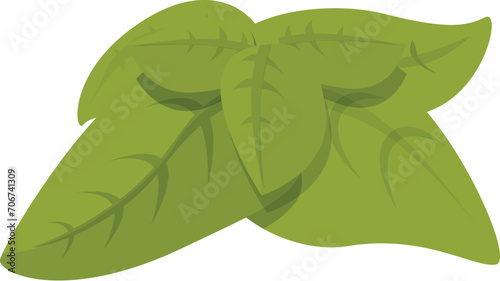 Pesto leaf plant icon cartoon vector. Utensil seasoned. Aromatic dish