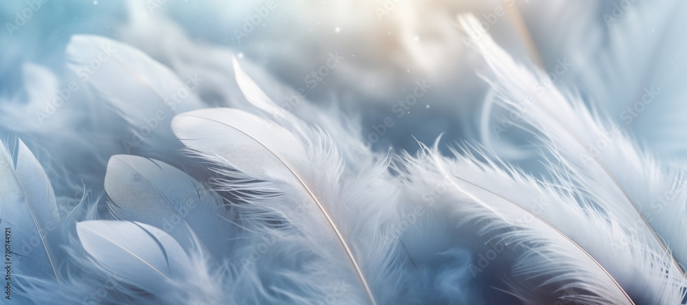 soft, fluffy feathers of heavenly color. background. soft, fluffy feathers of heavenly color. background.