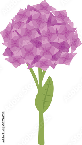 Hydrangea flower icon cartoon vector. Floral blossom. Pink wind garden