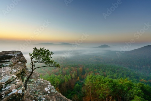 Palatinate Forest, dawn, fog, Roetzenfels, Palatinate, Rhineland-Palatinate, Germany, Europe photo