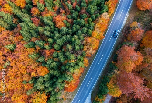 Drone image, autumnal forest along the main road in Weissenbachtal, Salzkammergut, Upper Austria, Austria, Europe photo