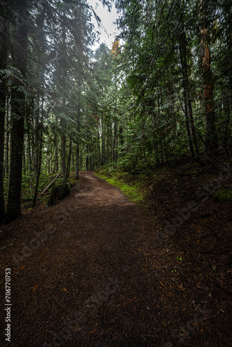Old Wagon Road in Northern Idaho
